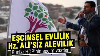 HDP'nin akıllara ziyan  seçim vaatleri: Eş cinsel evlilik