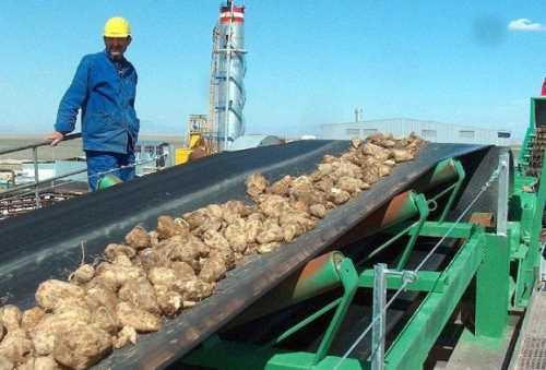 Hükümet NBŞ kotası %10’dan %5’e düşürdü