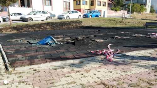 İki ayaklı Magandalar Park Yaktı