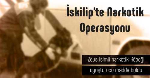 İSKİLİP'TE NARKOTİK OPERASYON