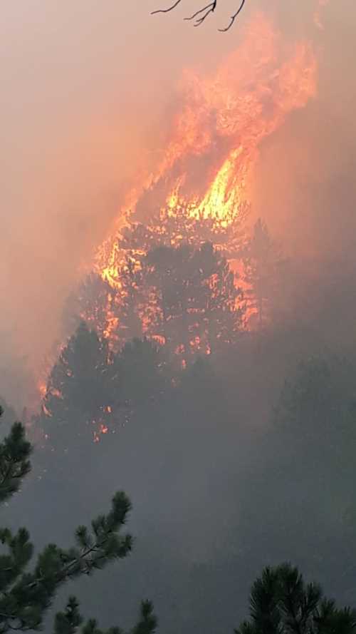 İskilip’te orman yangınına herkes seferber oldu 