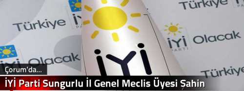 İYİ Parti Sungurlu İl Genel Meclis Üyesi Şahin Milletvekillerine Ateş Püskürdü