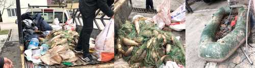 Jandarma Kaçak Balıkçıları suç üstü yakaladı 