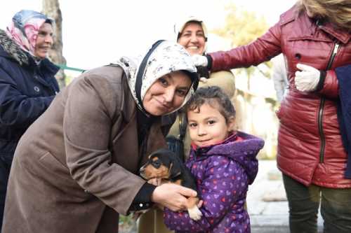 Kadın Meclisinden Hayvan duyarlılığı