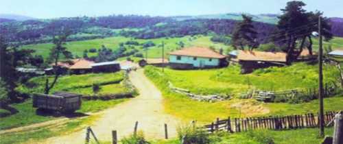 Kargı Tepelice Köyü Yeniköy Mahallesi Karantinaya alındı