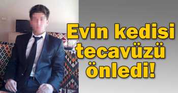 KEDİYE BAK SEN SALDIRGANIN ÜZERİNE  ATLADI