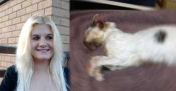 Kediyi Fırında Pişirdi 14 Hafta hapis cezasına çaptırıldı