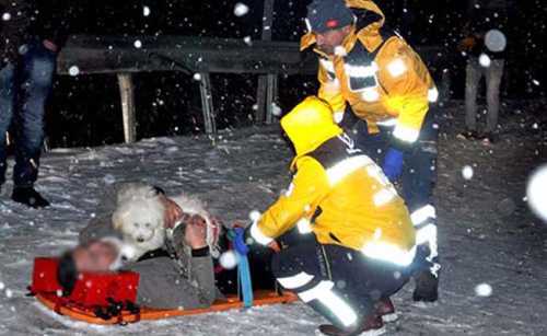 Köpek Sahibiyle birlikte sedyede 
