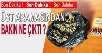 KORKULAN OLDU VE BONZAİ ÇORUM'DA