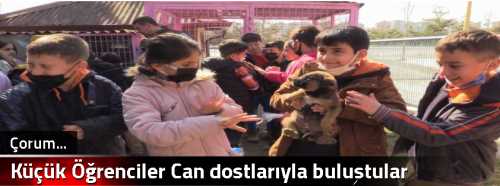 Küçük Öğrenciler Can dostlarıyla buluştular