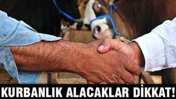 Kurbanlık alacaklar bu habere dikkat !
