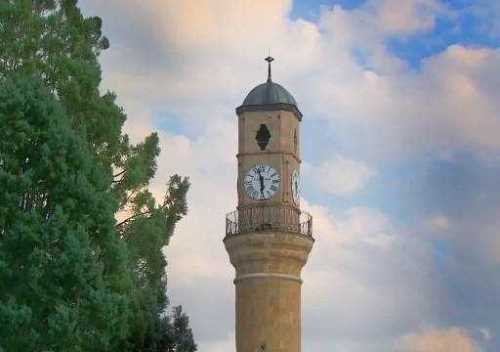 Kuruyan Ağaçların Yerine Yenisi Dikilecek