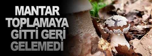 Mantar Toplamaya gitti geri gelmedi