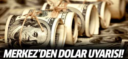 Merkez Bankası'ndan flaş döviz mesajı