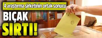 MİLLİ VE YERLİ 276 VEKİL BIÇAK SIRTI