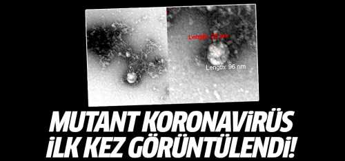 Mutant koronavirüs ilk kez görüntülendi