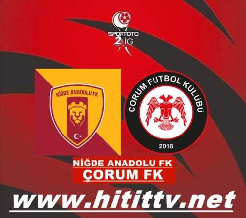 Niğde Anadolu FK- Çorum FK maçı 