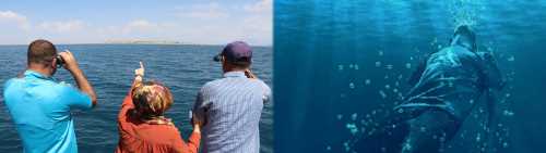  Öğrencisini kurtarmak isterken boğuldu