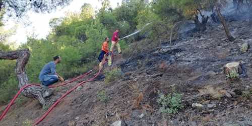 Orman Yangınında 2 hektar ormanlık alan kül oldu