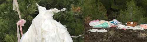 Ormanda Çam Ağaçlarına asılı Gelinlik bulundu