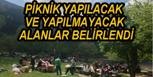 Ormanın Hangi Alanında Piknik Yapılacak Yapılmayacak? 