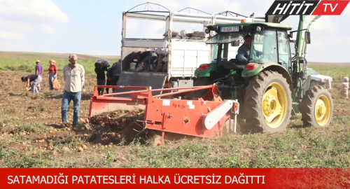 Patateslerini satamadı halka ücretsiz dağıttı