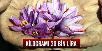 SAFRANIN  KG 20 BİN 