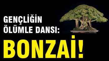 Şimdi Gençliğin ölümle dansı Bonzai
