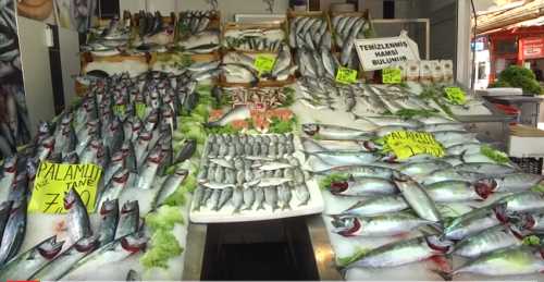 Soğuk havada balık fiyatları aynı