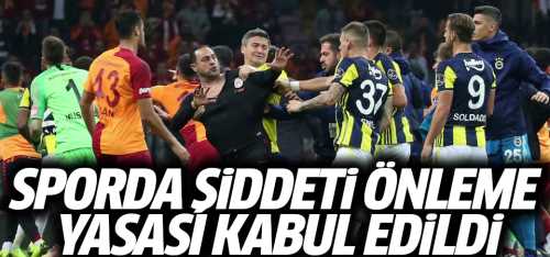 Sporda şiddeti önleme yasası kabul edildi