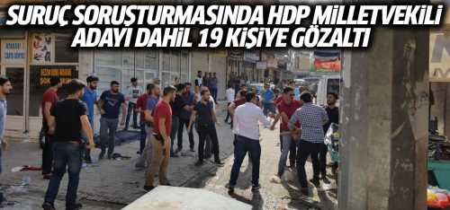 Suruç'ta HDP milletvekili adayı dahil 19 kişiye gözaltı