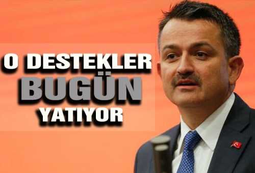 Tarımsal destekler bugün yatıyor