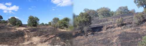  Tarlada çıkan anız yangını 20 hektarlık alana zarar verdi!