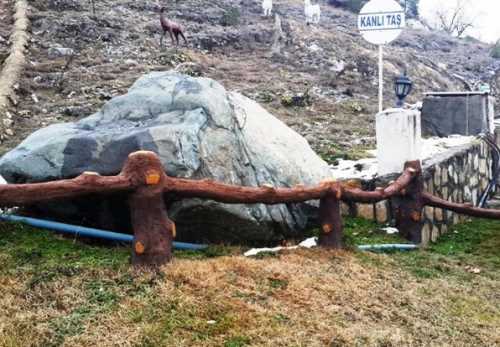 Taş "Kan ağlıyor"İlginç hikaye Kargı'da