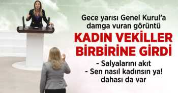 TBMM'de Kadın Vekiller Tartıştı, Tansiyon Yükseldi