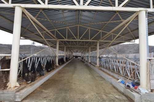 TKDK'nın  Çorum’da ilk hibe ödemesi alan yatırımcısı oldu