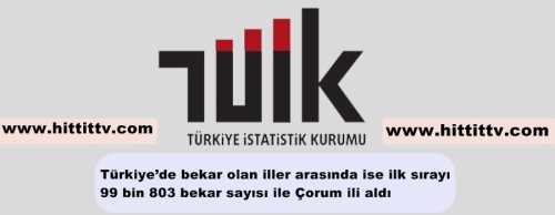 Türkiye’de bekar olan iller arasında ise ilk sırayı 99 bin 803 bekar sayısı ile Çorum ili aldı