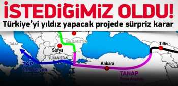 Türkiye'nin TANAP'taki oyu yüzde 30 oldu