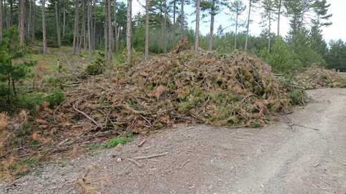 Üretim Artıkları Enerji olarak değerlendiriliyor