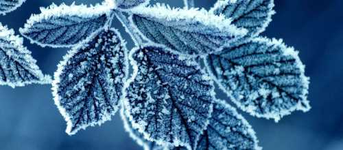 Valilikten Çiftçilere Zirai Don Uyarısı