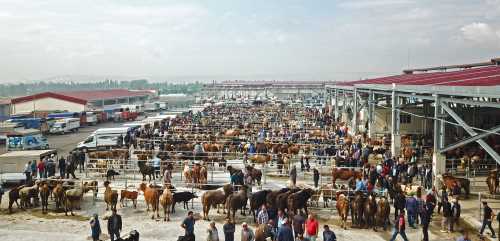 Vatandaş talep etti belediye yaptı