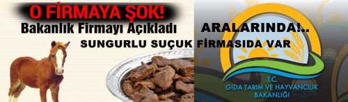 Vijdansızlar Bize bu sucukları yedirdi