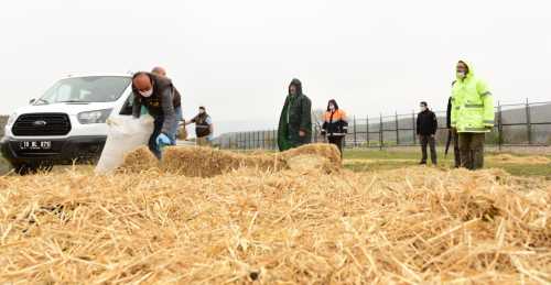 Yabani Hayvanlara Yem Bırakıldı