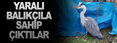 Yaralı Balıkçıla Osmancıklı vatandaşlar sahip çıktı