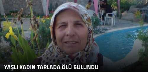 Yaşlı Kadın Tarlada Ölü Bulundu