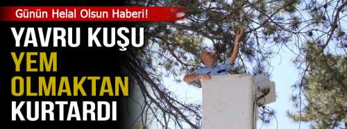 Yavru kuşa polis sahip çıktı