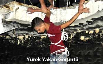 Yine Bonzai ve Yine Yürek Sızlatan Görüntü