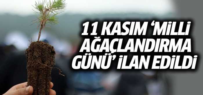 11 Kasım 'Milli Ağaçlandırma Günü' ilan edildi