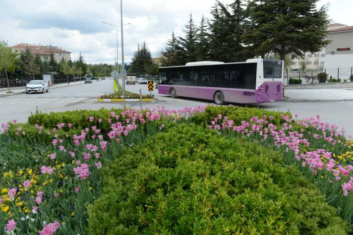 160 bin lale ve sümbül toprakla buluşuyor