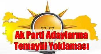 AK PARTİ'NİN  TEMAYÜLÜNDE 2056 KİŞİ OY KULLANACAK